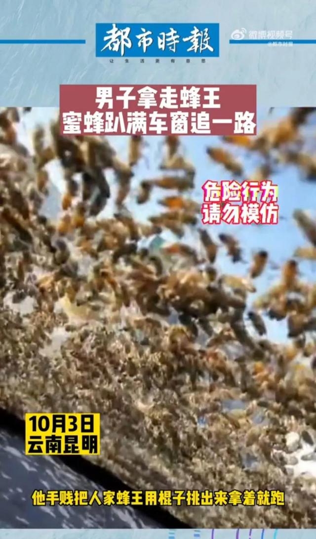 图片[1]-恐怖！！男子拿走蜂王被蜂群爬车窗追一路-优众博客
